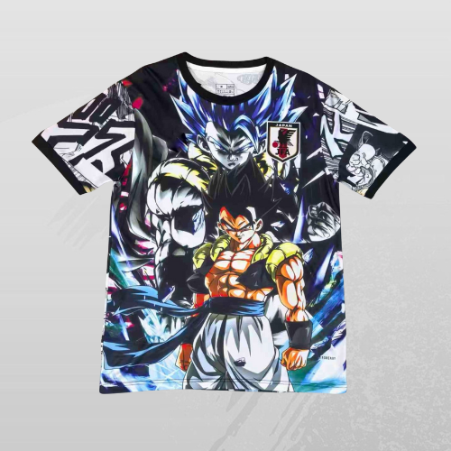 Maillot Japon Concept 25/26