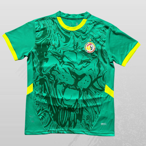 Maillot Sénégal 24/25