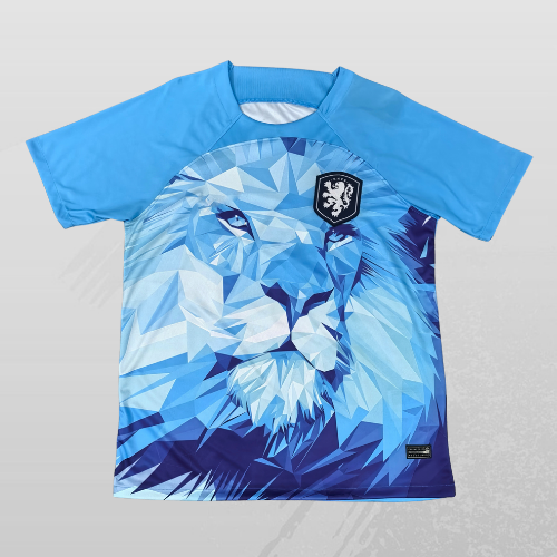 Maillot Pays Bas Concept 25/26