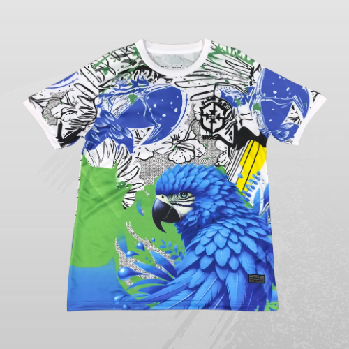 Maillot Brésil Concept 25/26