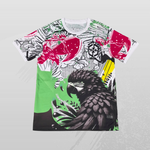 Maillot Brésil Concept 25/26