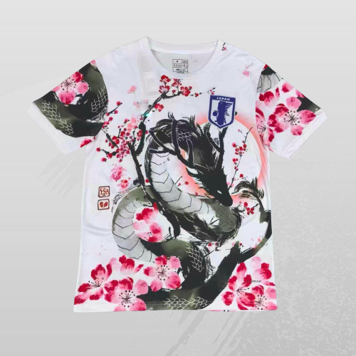 Maillot Japon Concept 25/26