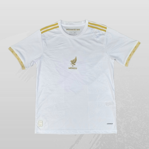 Maillot Mexique 25/26