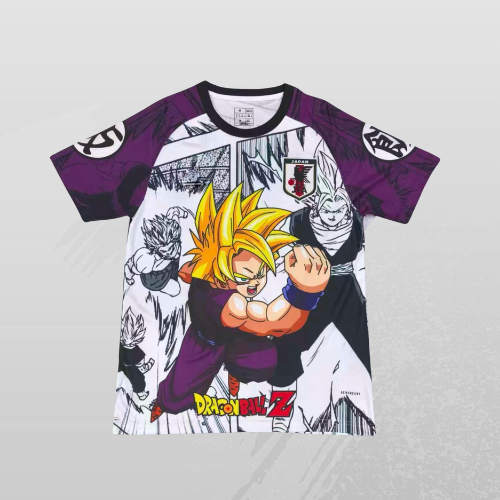 Maillot Japon Concept 25/26